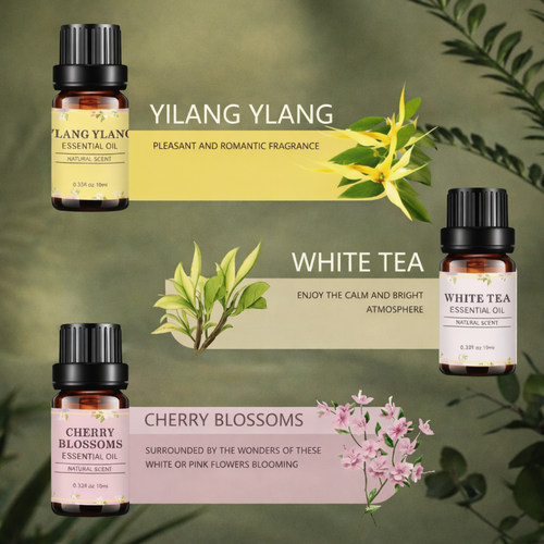 Aromatherapy Oil Set