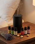 Start Fresh — Diffuser & 6 Oils